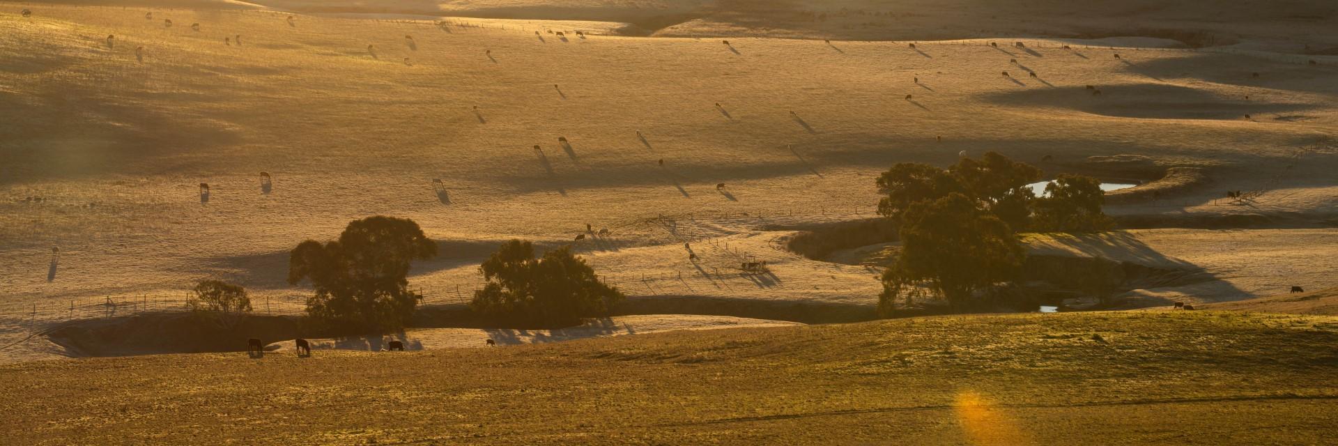 Equipping Leaders to Resolve Land Challenges in Africa through a Political Economy Approach