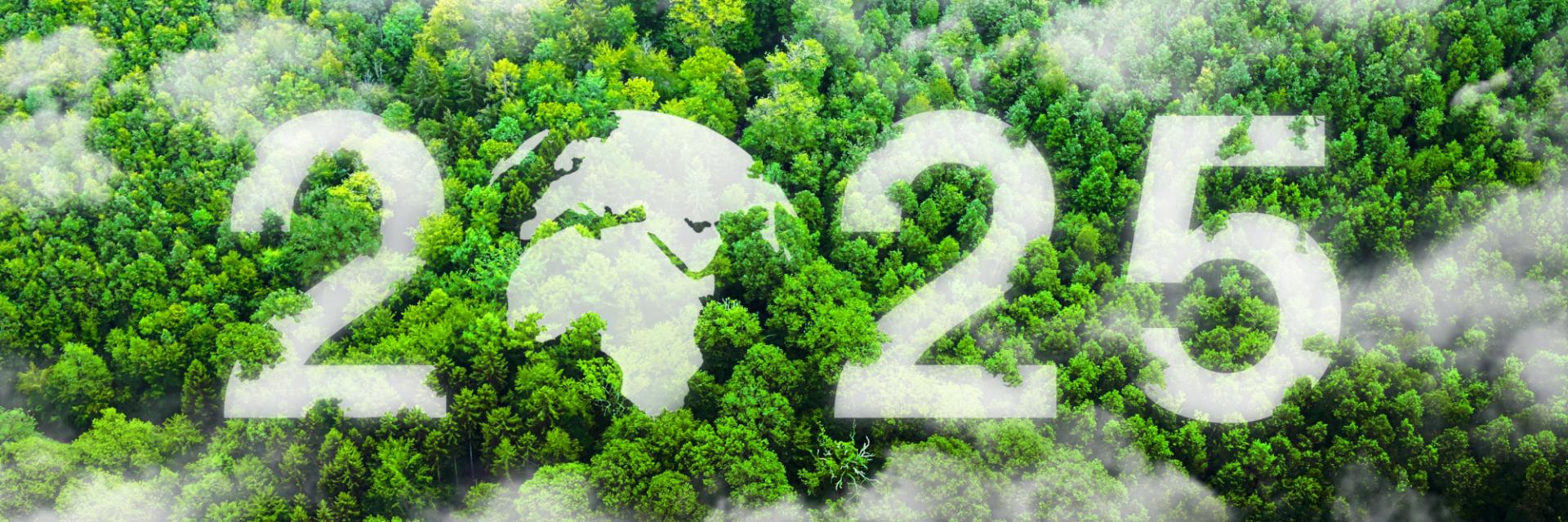 7th African Regional Science, Technology, and Innovation Forum 2025: Catalyzing Innovation for Africa's Sustainable Future