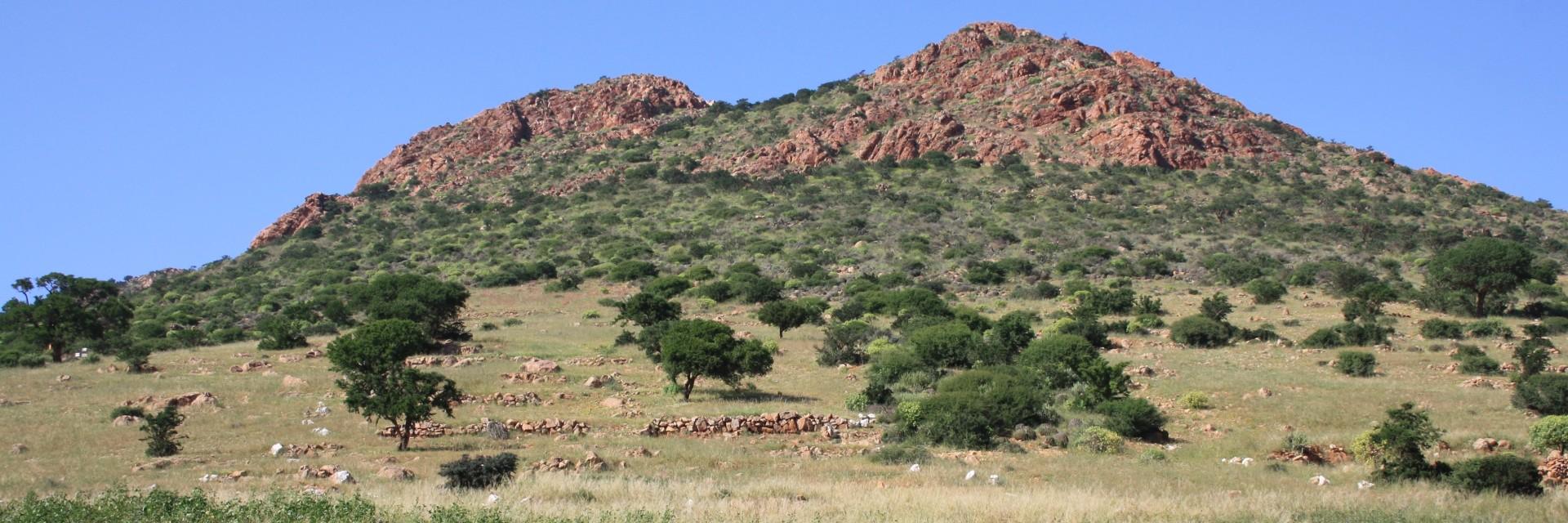 Kenya, ECA, AU-IBAR and IGAD launch effort to build climate resilience in livestock, land and insurance systems