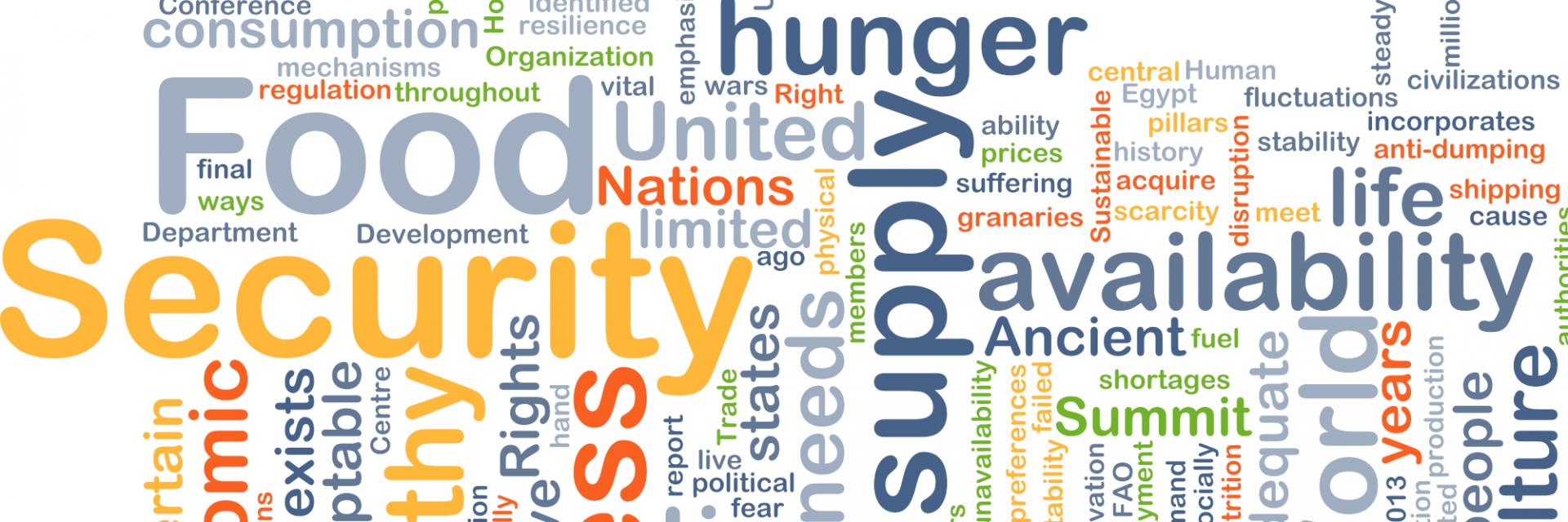 ECA in North and West Africa organize a joint meeting to discuss food-security and energy-security issues in North and West Africa