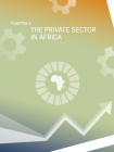 THE PRIVATE SECTOR IN AFRICA
