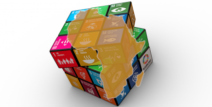 Local Reviews of Sustainable Development Progress in Africa Published
