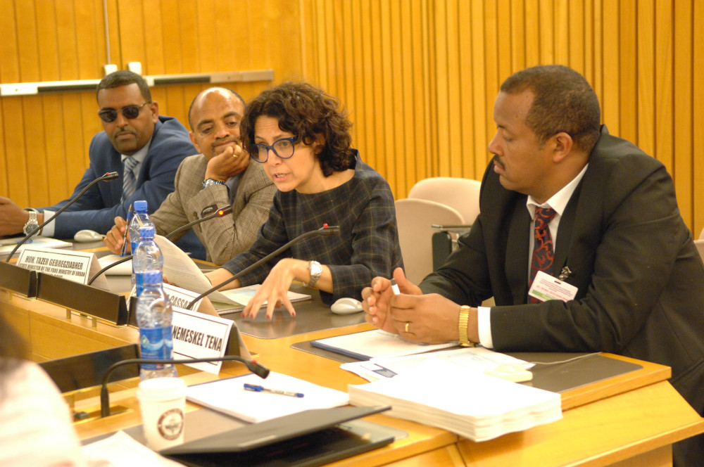 Il faut des maires instruits et compétents pour stimuler le changement dans les villes éthiopiennes