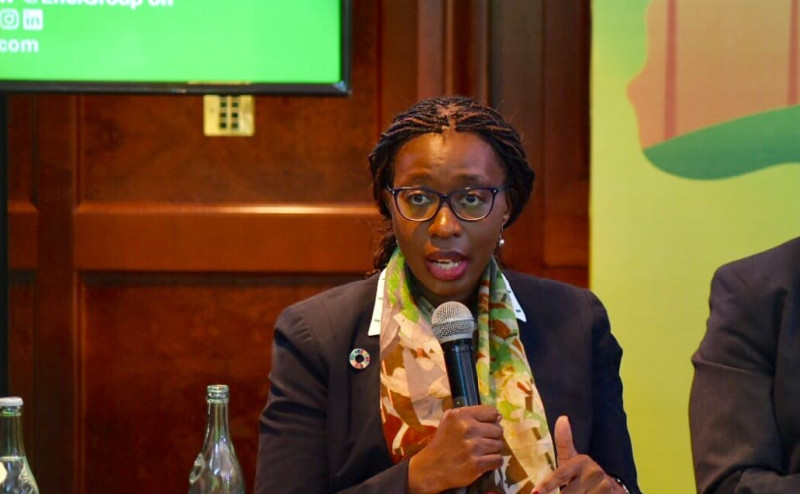 Strong partnerships and good regulations key to delivering clean energy in Africa, says Songwe