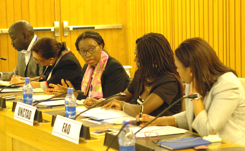 Songwe, UN heads of agencies discuss need for better coordination and delivery