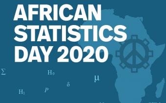 African Statistics Day marked across continent