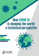 How COVID-19 is changing the world: a statistical perspective