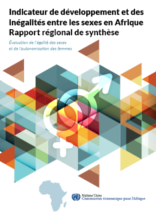 Indicateur de développement et des inégalités entre les sexes en Afrique Rapport régional de synthèse