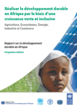 Réaliser le développement durable en Afrique par le biais d’une croissance verte et inclusive