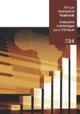 African Statistical Yearbook 2014