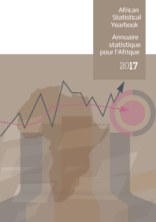 African Statistical Yearbook 2017