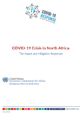 COVID-19 Crisis in North Africa: The Impact and Mitigation Responses