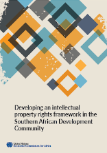 Developing an intellectual property rights framework in the Southern African Development Community