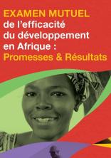 Examen mutuel de l’efficacité du développement en Afrique 2010