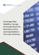Exchange Rate Stability, Foreign Exchange Reserves, Monetary Policy and Expectations: The Case of Kenya