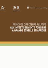 Principes directeurs relatifs aux investissements fonciers à grande échelle en Afrique