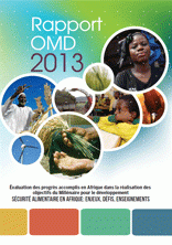 Rapport OMD 2013