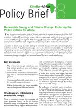 Policy Brief 8 : Renewable Energy and Climate Change: Exploring the Policy Options for Africa