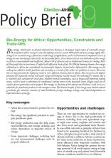 Policy Brief 9 : Bio-Energy for Africa: Opportunities, Constraints and Trade-Offs