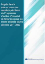 Progrès dans la mise en oeuvre des domaines prioritaires du Programme d’action d’Istanbul en faveur des pays les moins avancés pour la décennie 2011-2020