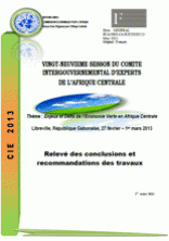 Relevé des conclusions et recommandations des travaux du vingt-neuvième session du CIE de l’Afrique centrale