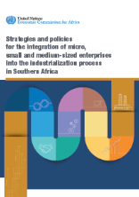 Strategies and policies for the integration of micro, small and medium-sized enterprises into the industrialization process in Southern Africa