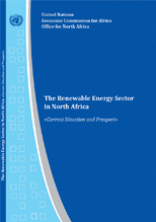 The Renewable Energy Sector in North Africa