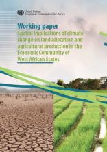 Working paper Spatial implications of climate change on land allocation and agricultural production in the Economic Community of West African States