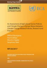 WP20 Climate Change Policies Nexus Between Policy Research and Practice 